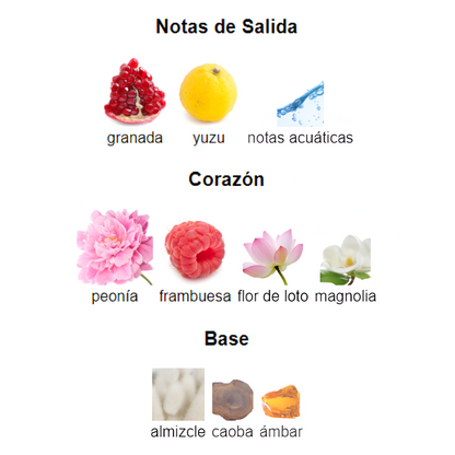 EL BRILLO QUE MAMÁ MERECE| BRIGHT CRYSTAL VERSACE